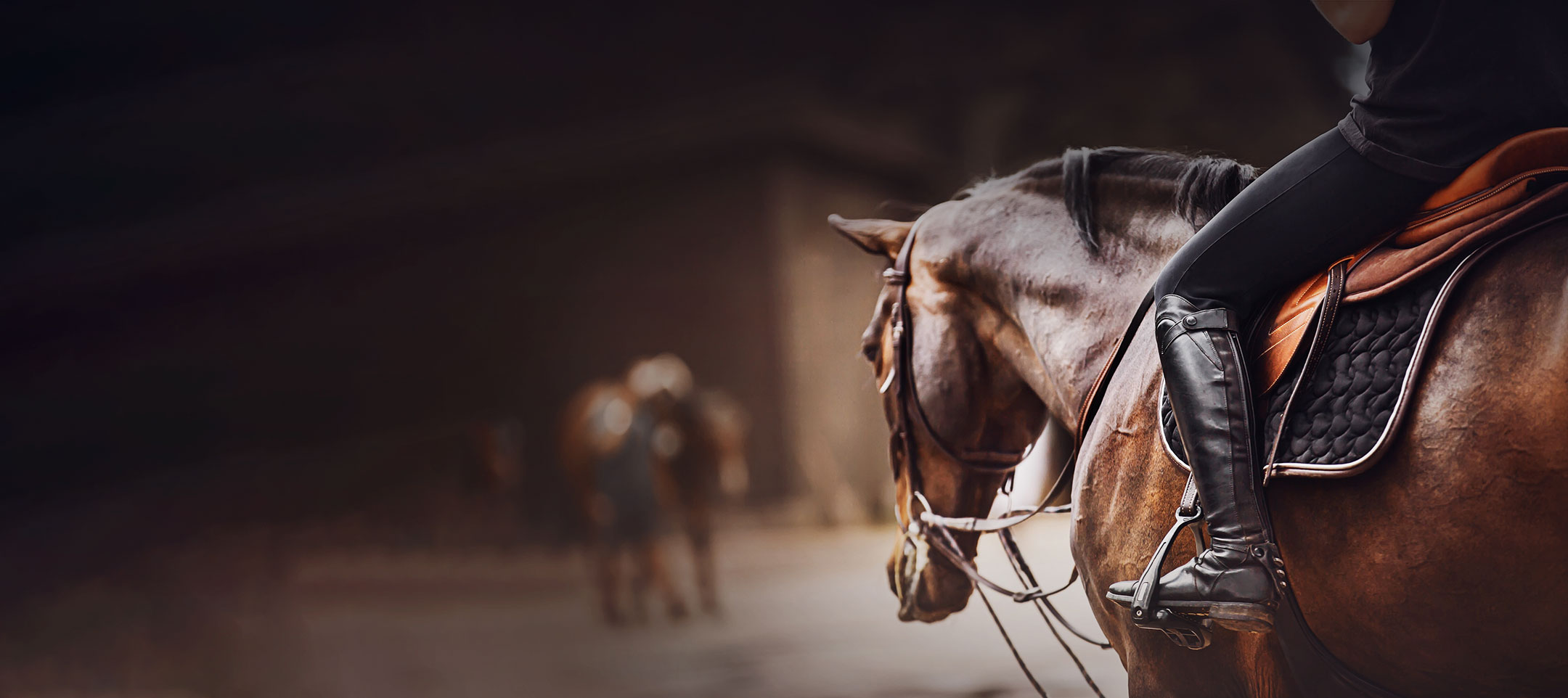 CLINIQUE EQUINE DE SERS